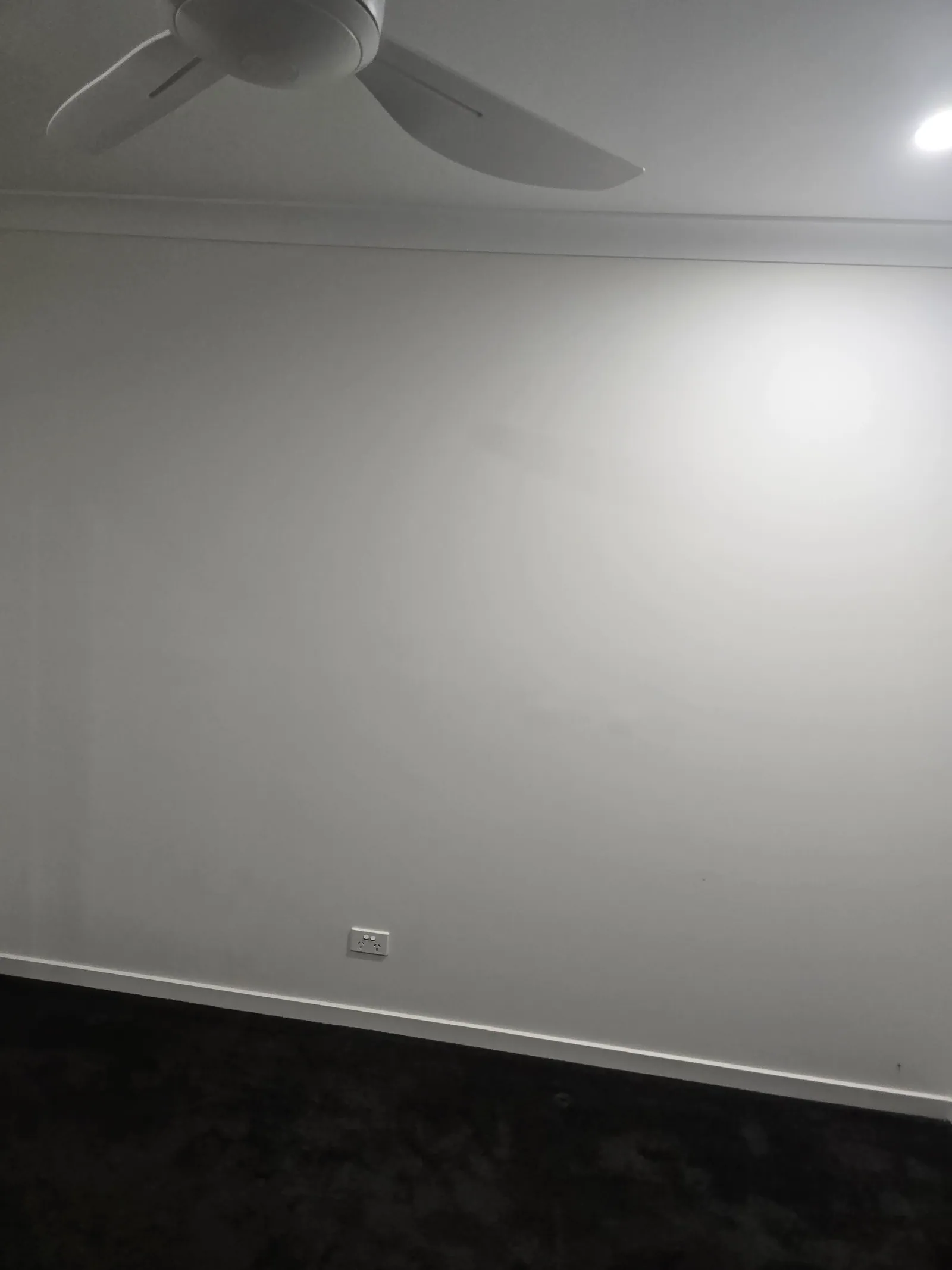 Newstead riverside apartment — full bond restore with appliance clean